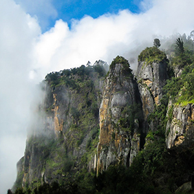 Bangalore To Kodaikanal