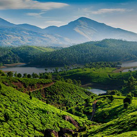 Bangalore To Munnar