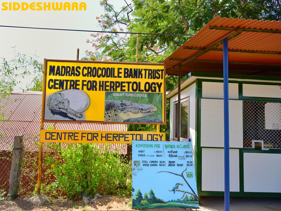 siddeshwara-mahabalipuram