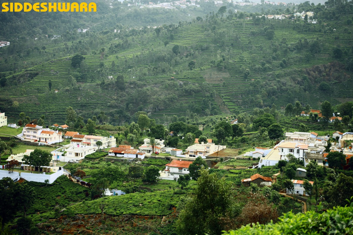 siddeshwara-kodaikanal