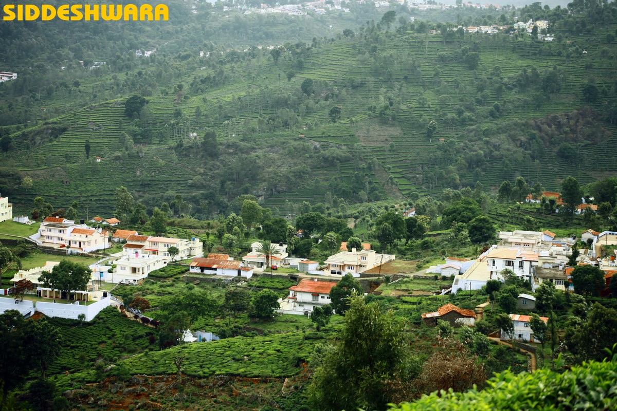 siddeshwara-kodaikanal