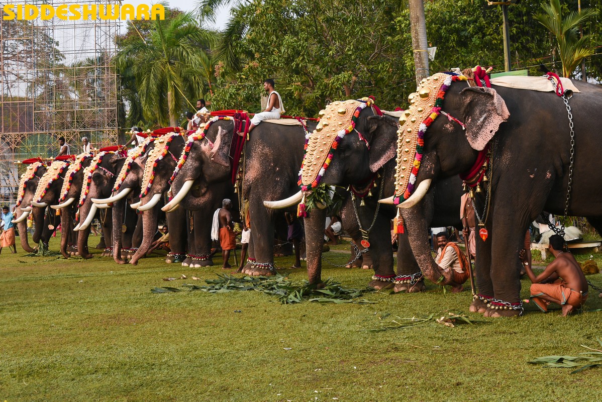 siddeshwara-thrissur