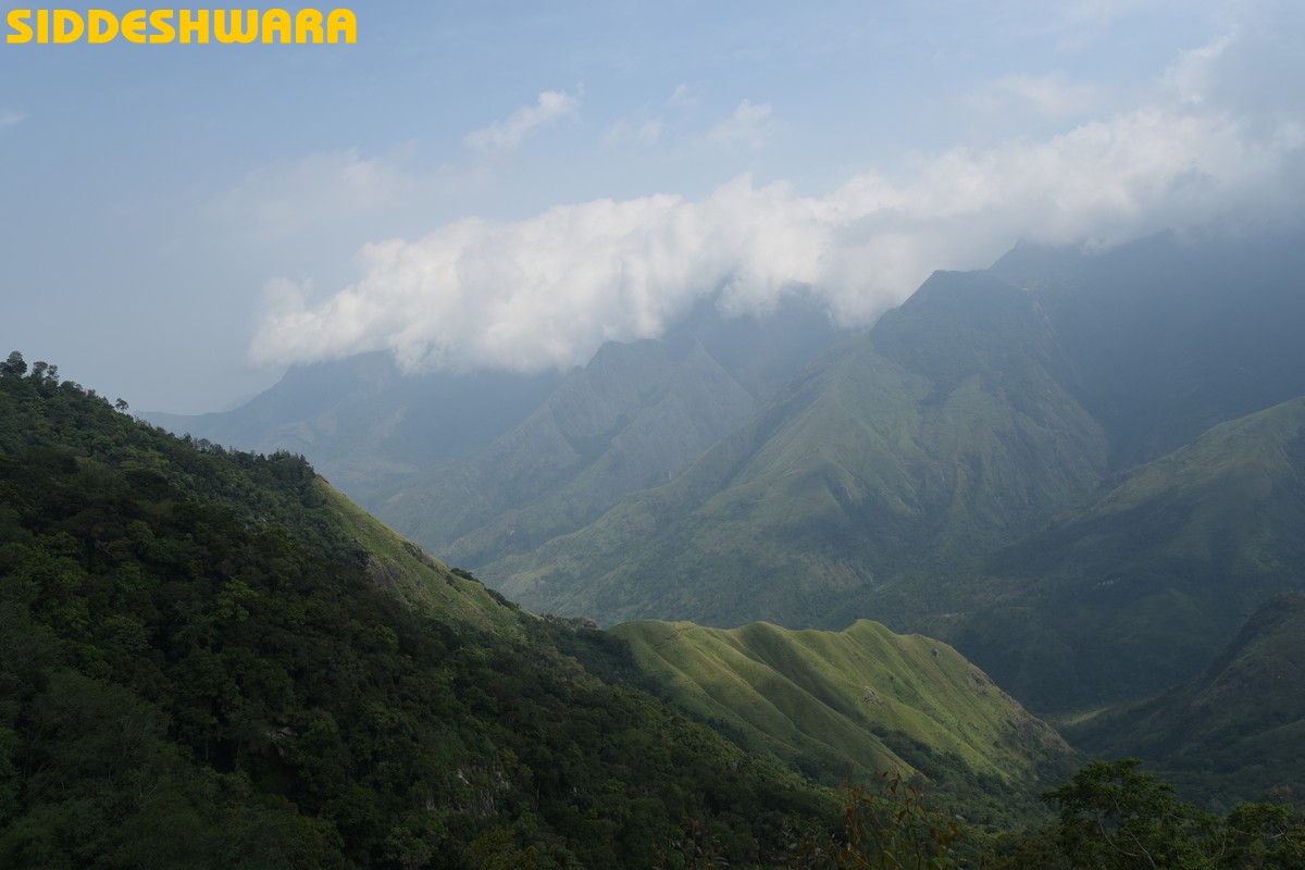 siddeshwara-munnar